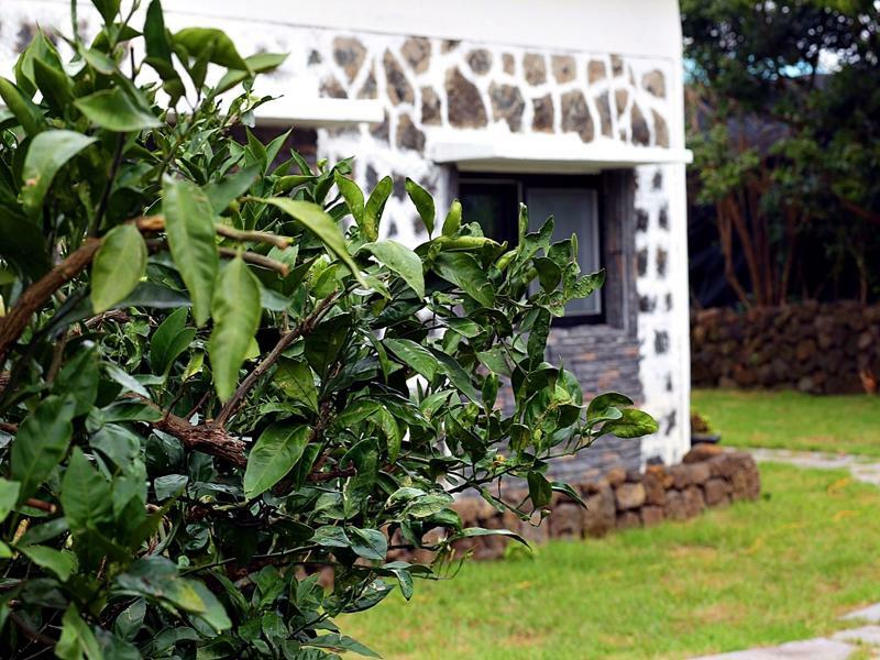 Ddobagi Pension Seogwipo Exterior photo